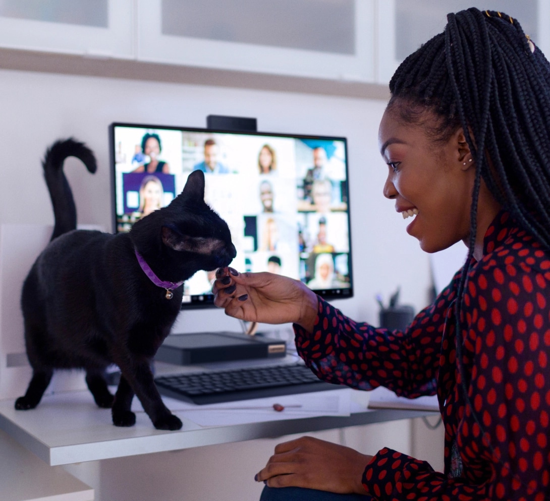 A woman working at her desktop computer and petting her black cat.