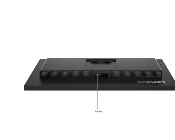 Pantalla IPS ThinkVision P24qd-40 QHD (2560×1440) de 23,8
