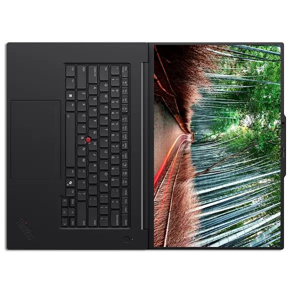 ThinkPad P1 Gen 8 (16 inch Intel) | Premium Power in a Sleek