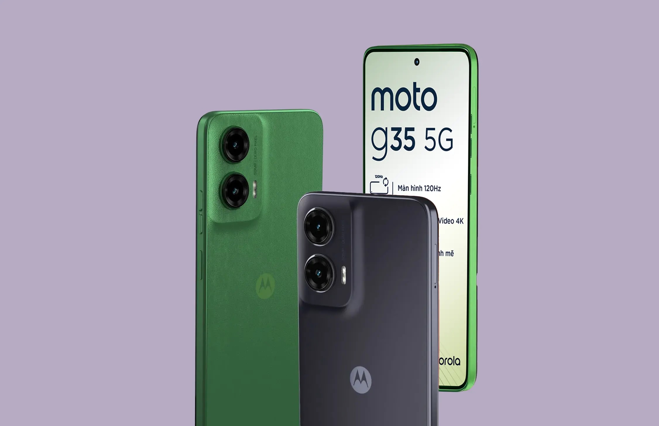 full background display