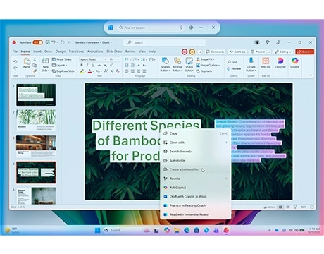 A window with text relating to bamboo, illustrating the Click to Do feature. מחשב נייד IdeaPad Slim 5 16AHP11 83S40013IV מבית Lenovo