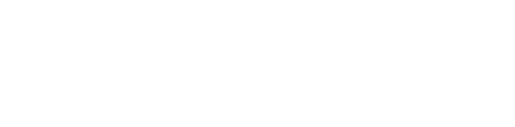 Banner Logo
