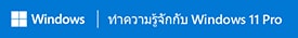 Windows 11