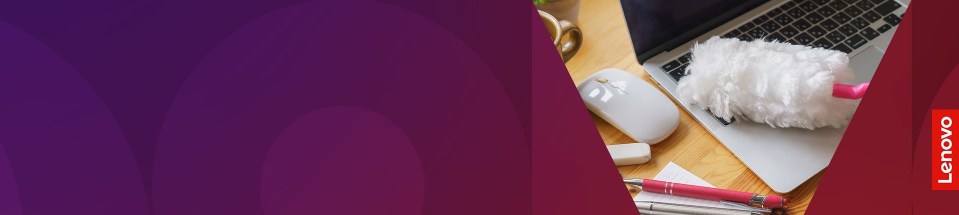 ノートブックを掃除しよう！簡単にきれいにするコツや注意点