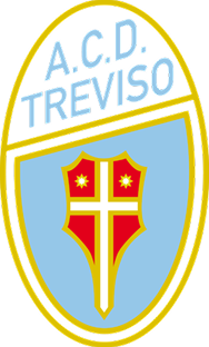 Treviso FBC logo placeholder