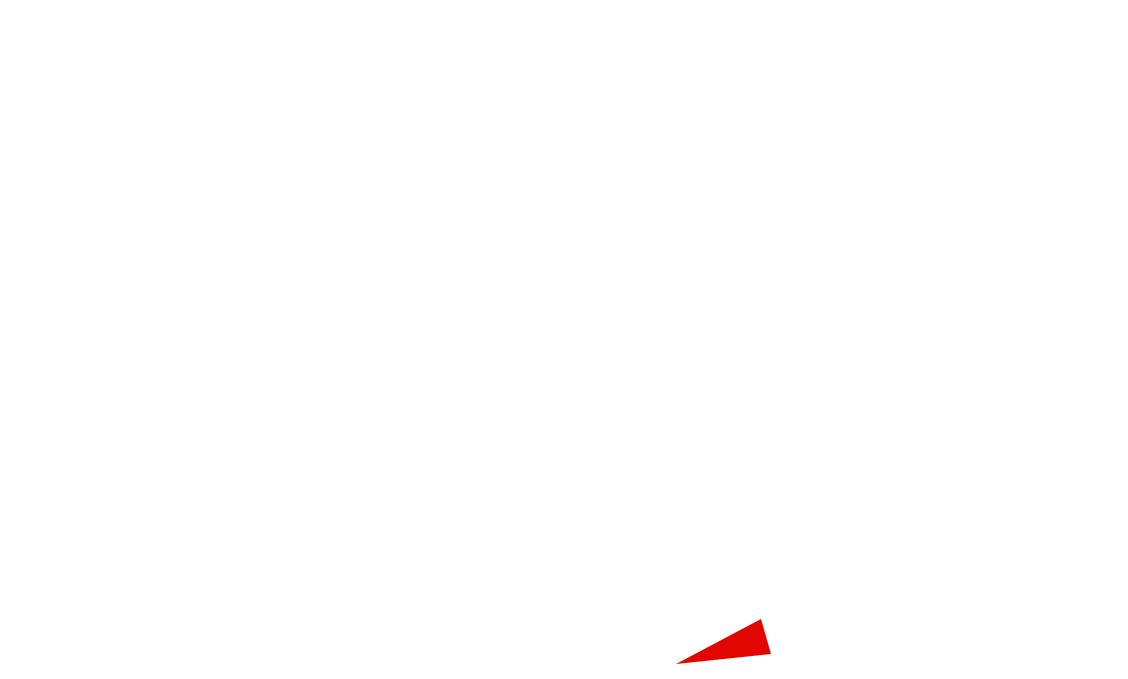 Race Grid Layout