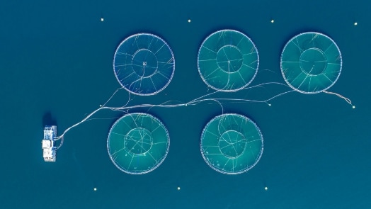 Overhead shot of a barge with various lines running toward two circles that resemble a circuit board.