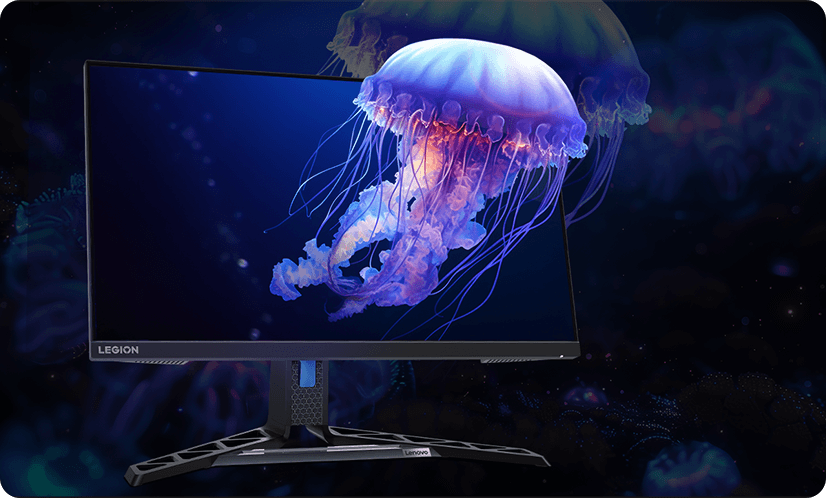 A picture of the colorful jellyfish jumps out of the monitor screen demonstrates the 99% sRGB and 90% DCI-P3 color gamut.