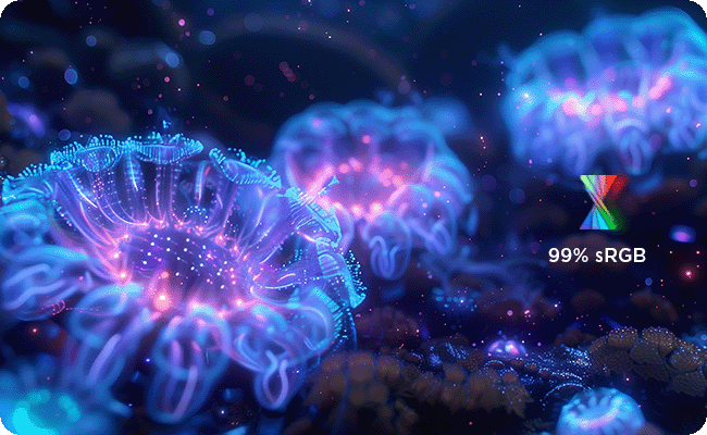 A colorful undersea picture of the glowing sea anemone shows the nice color performance of the monitor. מסך מחשב גיימינג Legion 25-10 מבית Lenovo