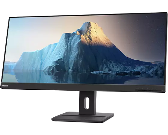ThinkVision 29 inch Monitor - E29w-20 | 62CEGAR3US | Lenovo US