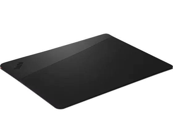 ThinkPad Professional 13-inch Sleeve